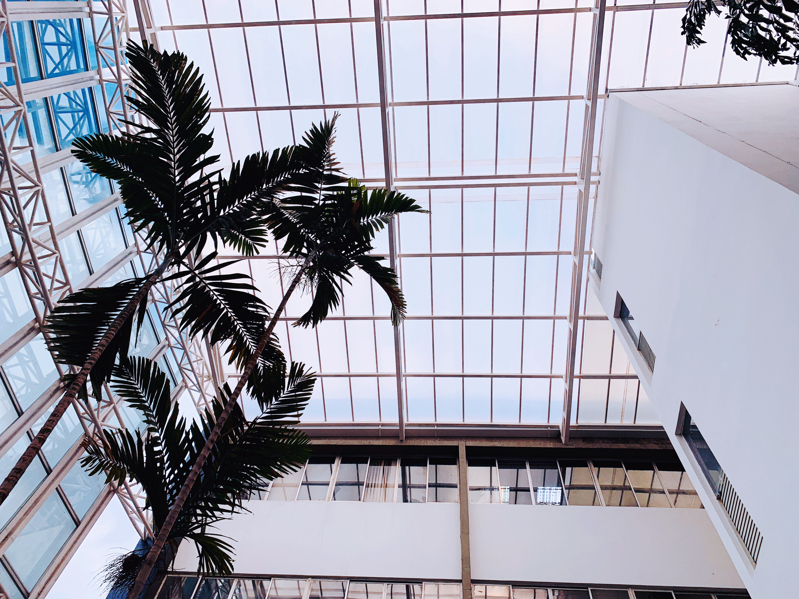 Obra - foto principal